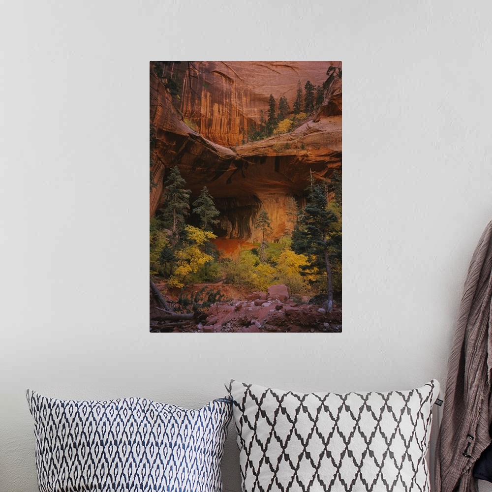 A bohemian room featuring Photograph of cave entrance surrounded by trees and bushes in front of and above it.