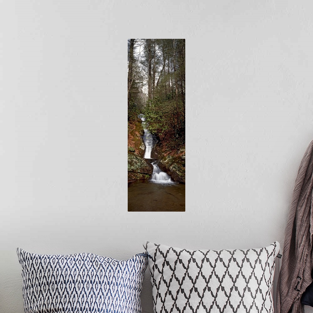 A bohemian room featuring Waterfall in a forest, Appalachian Mountains, North Carolina,