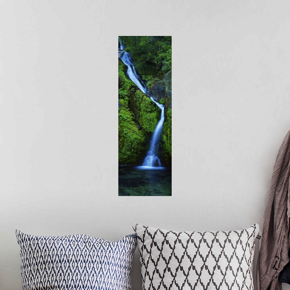 A bohemian room featuring Waterfall in a forest, Sullivan Falls, Opal Creek Wilderness, Oregon