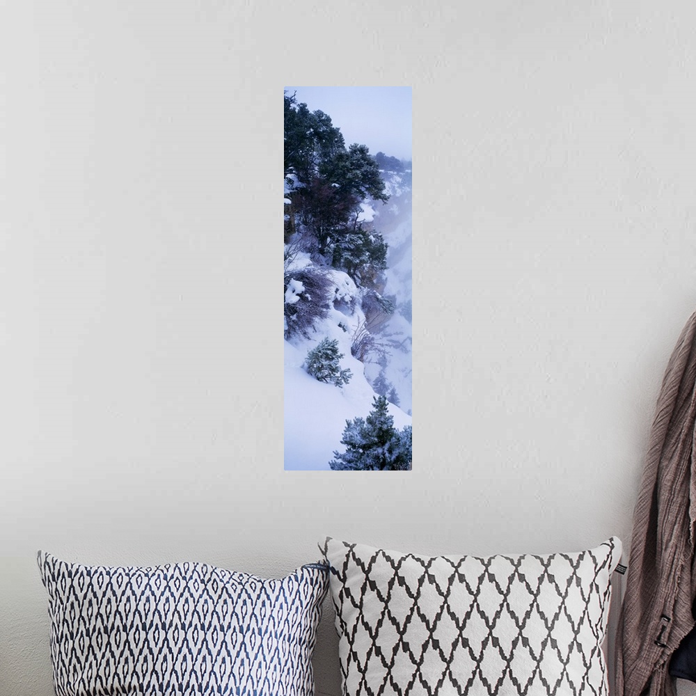 A bohemian room featuring Vertical photograph of a snowy cliffside full of hardy bushes and trees under a deep layer of sno...