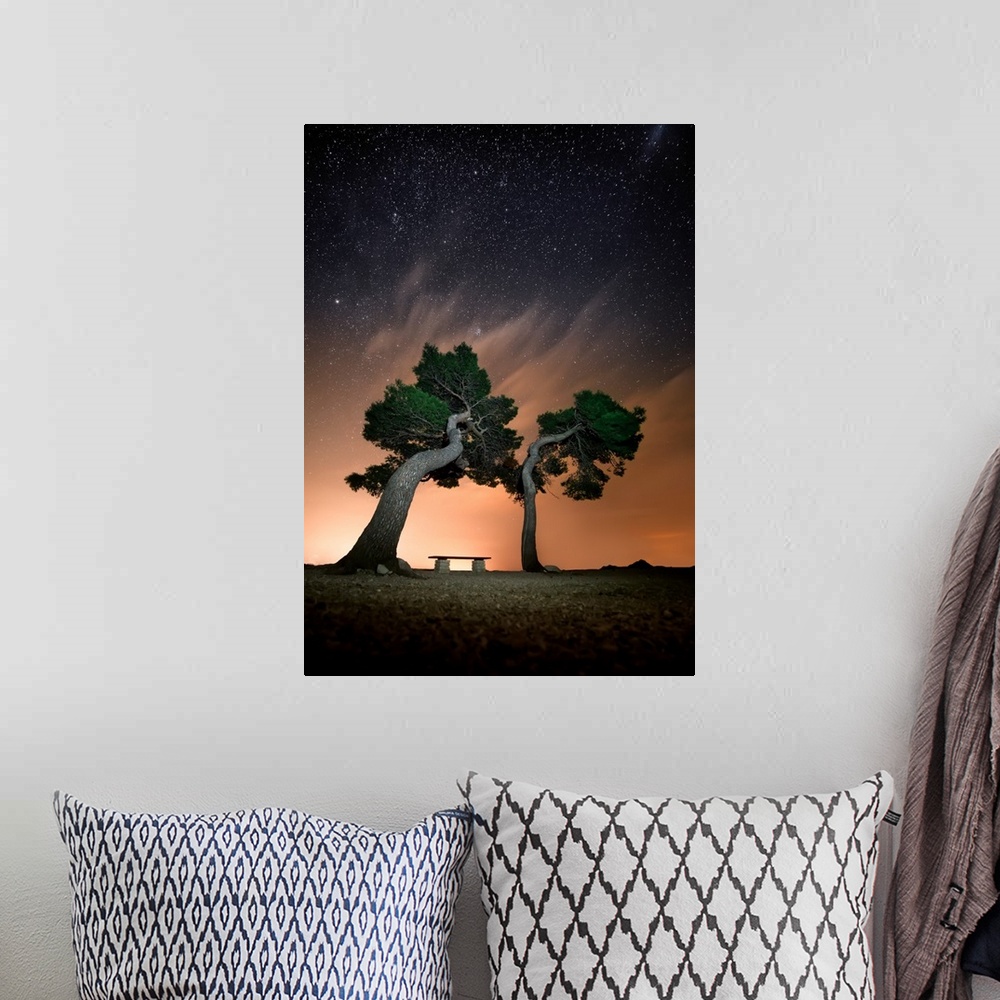 A bohemian room featuring A lone bench between two large trees under the night sky.