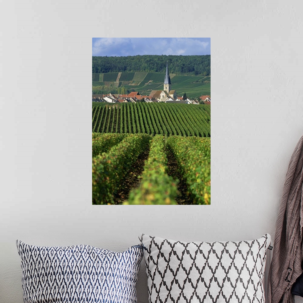 A bohemian room featuring Chamery, Montagne de Reims, Champagne, France, Europe