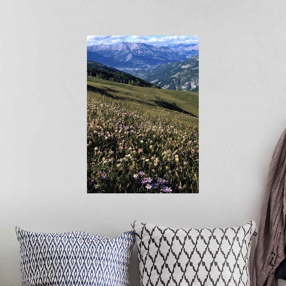 A bohemian room featuring View from Col d'Allos, Alpes-de-Haute-Provence, Provence, France