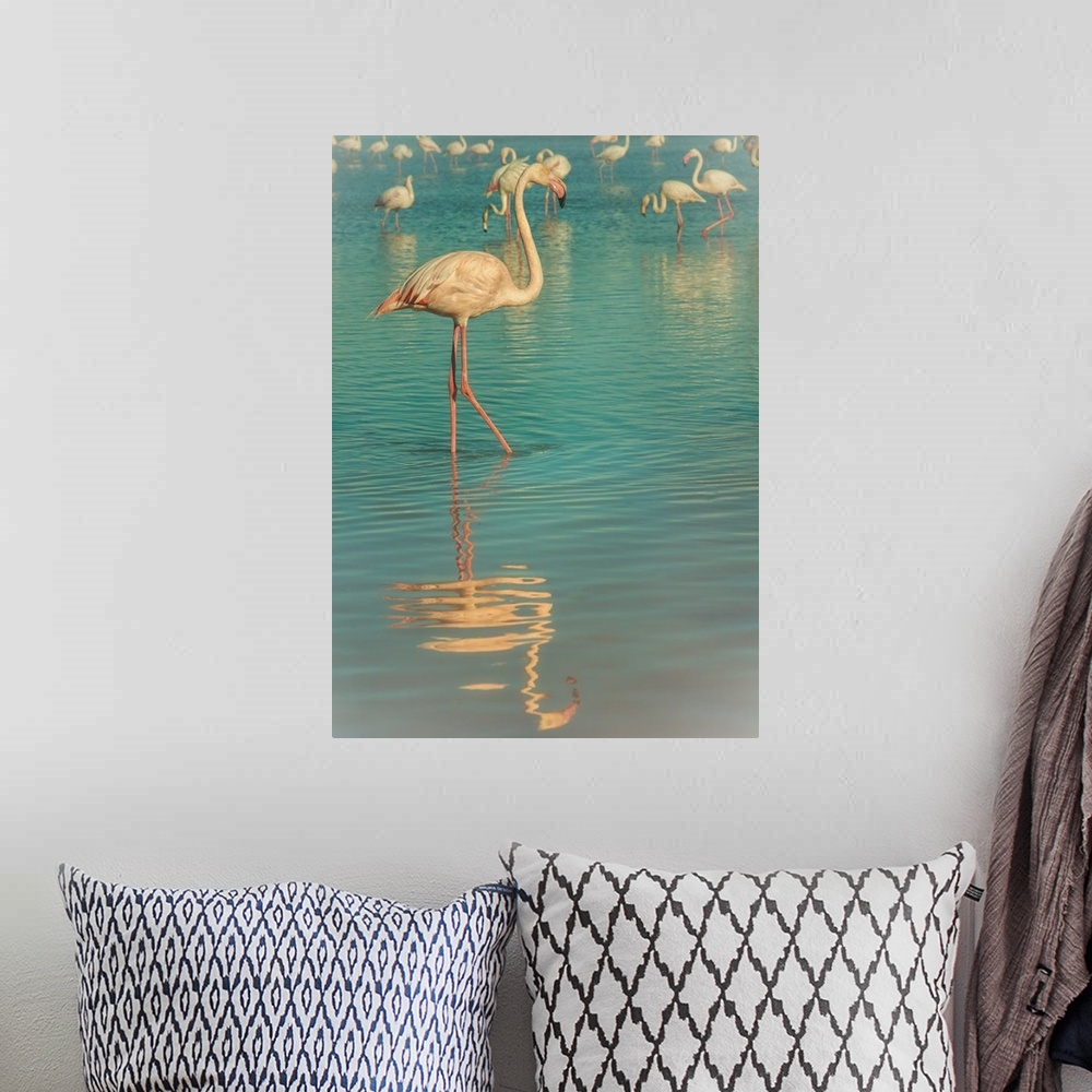 A bohemian room featuring Flamingos in the south of France