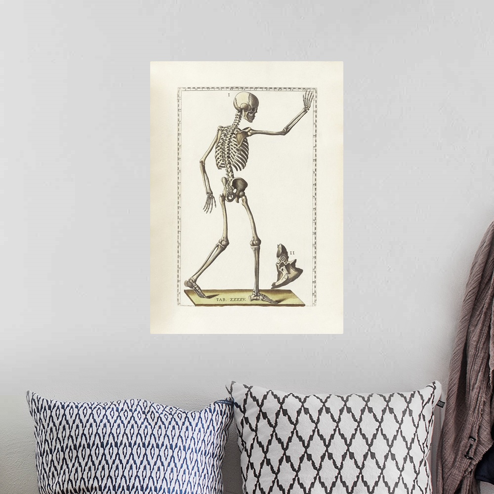 A bohemian room featuring The science of human anatomy by Bartholomeo Eustachi.