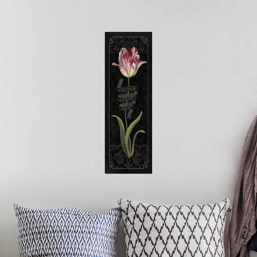 A bohemian room featuring Tulipa Botanica III