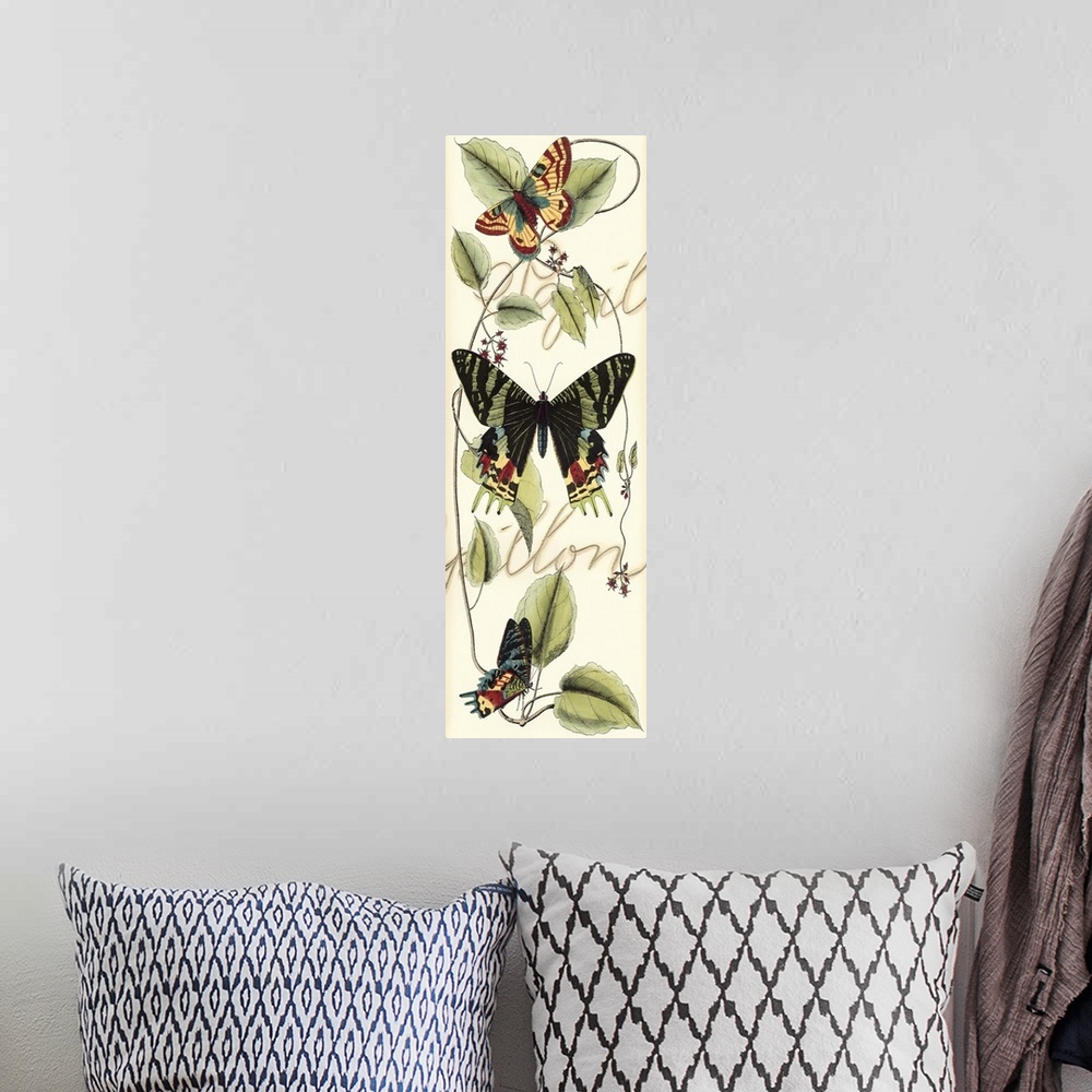 A bohemian room featuring Contemporary artwork of a vintage style butterfly illustration with script in the background.