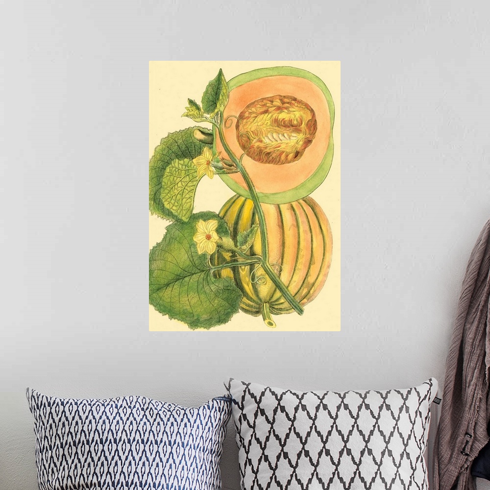 A bohemian room featuring Exotic Melons IV