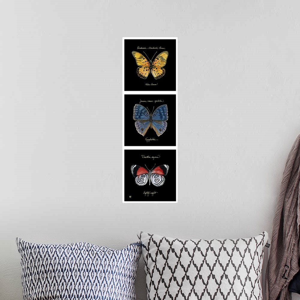 A bohemian room featuring Primary Butterfly Panel II