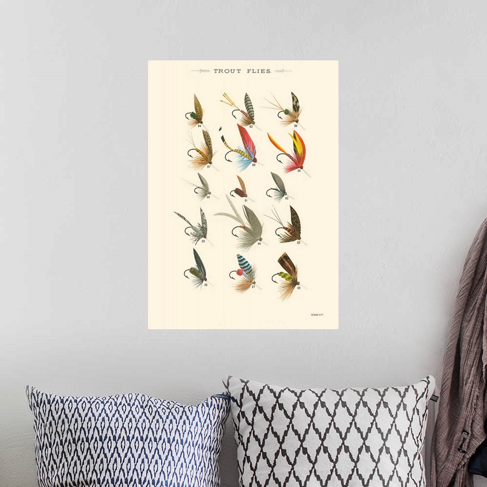 A bohemian room featuring Trout Flies I