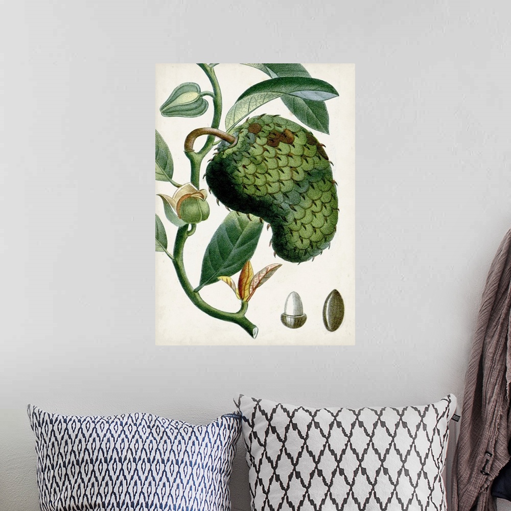 A bohemian room featuring Turpin Tropical Fruit VIII