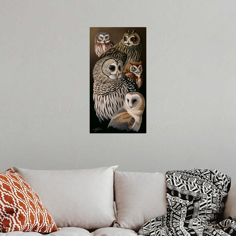 A bohemian room featuring A collection of various species of owls.