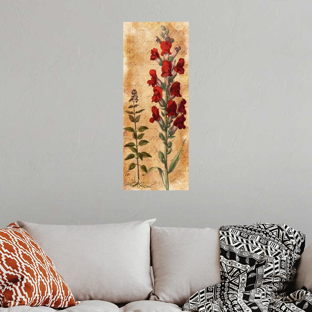 A bohemian room featuring Illustration of a snapdragon with red flowers.
