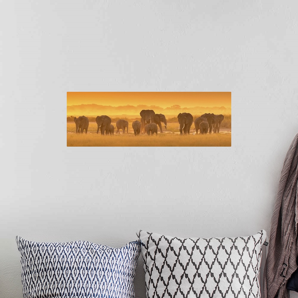 A bohemian room featuring A photograph of a herd of African elephants on the Savannah seen from behind.