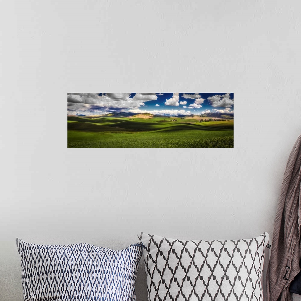 A bohemian room featuring Sunlit Rolling Hills With Green Grain Fields And White Puffy Clouds, Palouse, Washington