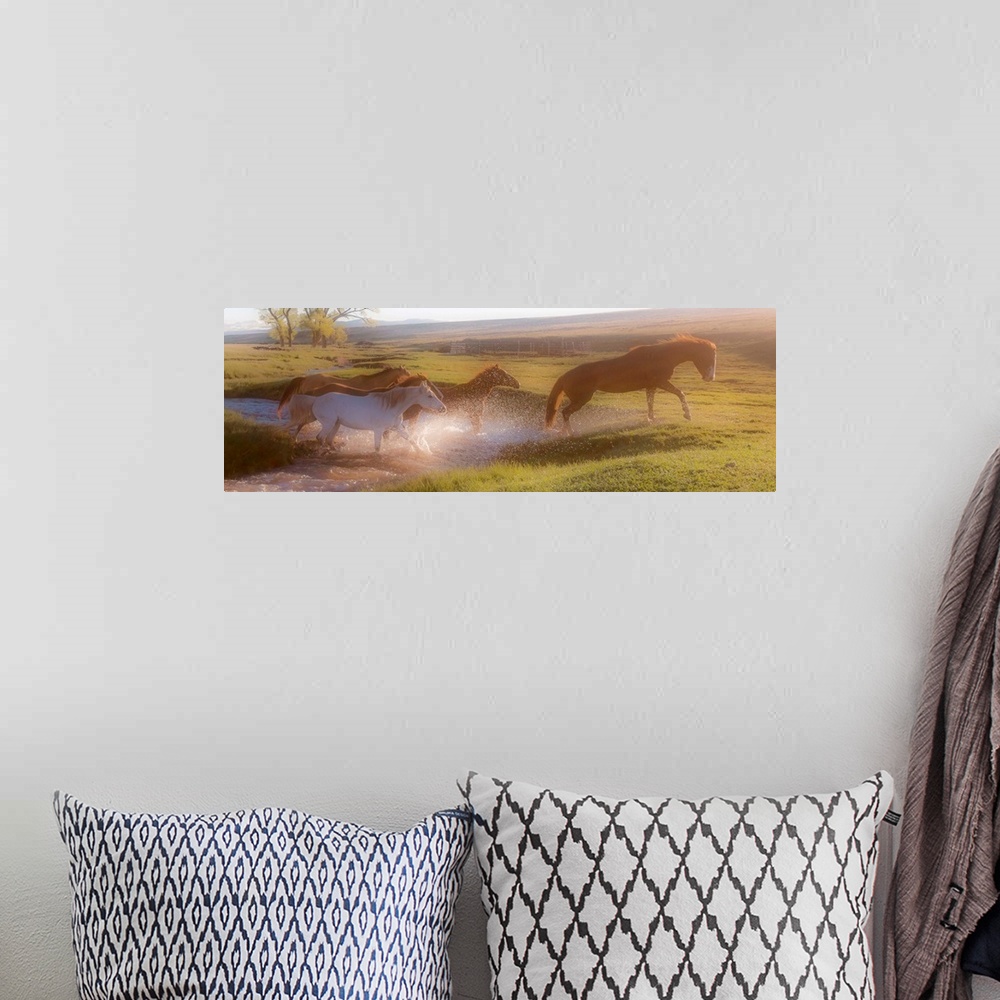 A bohemian room featuring Photograph of horses crossing a river in the middle of a field at sunset.