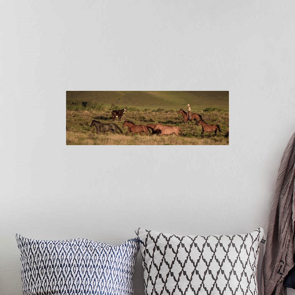 A bohemian room featuring Photograph of a cowgirl in a field with horses and cattle.