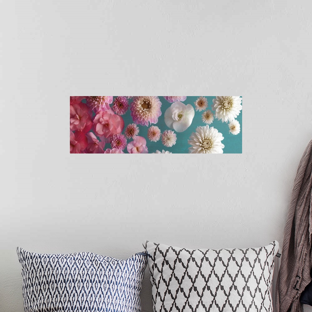 A bohemian room featuring Panoramic image of a group of flowers, fading from pink to white, on a teal backdrop.