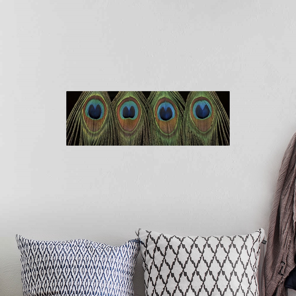 A bohemian room featuring Panoramic photograph of a row of colorful peacock feathers.
