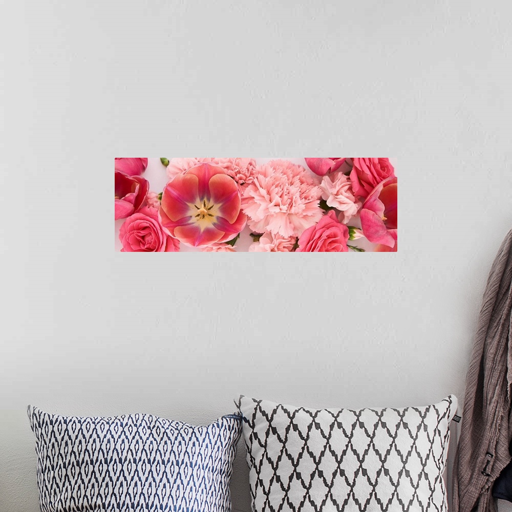 A bohemian room featuring Panoramic of pink spring flowers on white background.