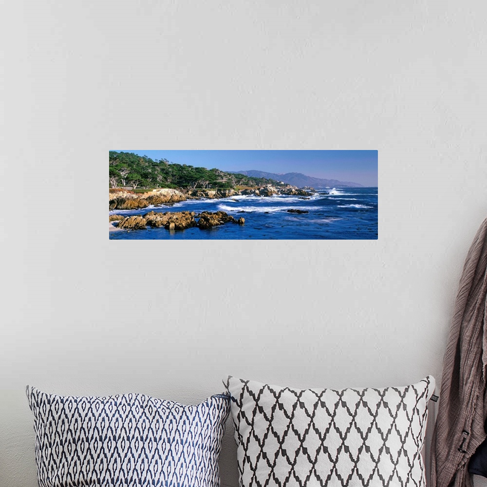 A bohemian room featuring CA, Monterey Peninsula, Carmel, 17-Mile Drive at Pebble Beach, Harbor Seals