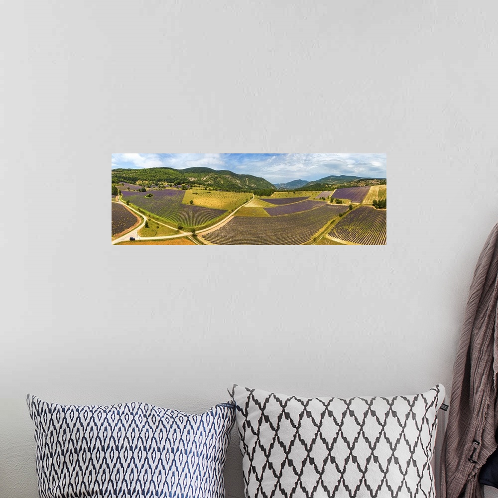 A bohemian room featuring France, Provence-Alpes-Cote d'Azur, Provence, Vaucluse, Lavender fields near Aurel.