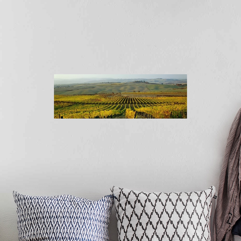 A bohemian room featuring Italy, Tuscany, Landscape near Montalcino