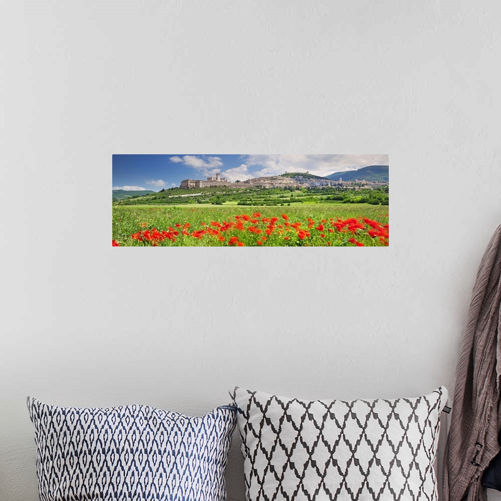 A bohemian room featuring Italy, Umbria, Perugia district, Assisi, The town in spring