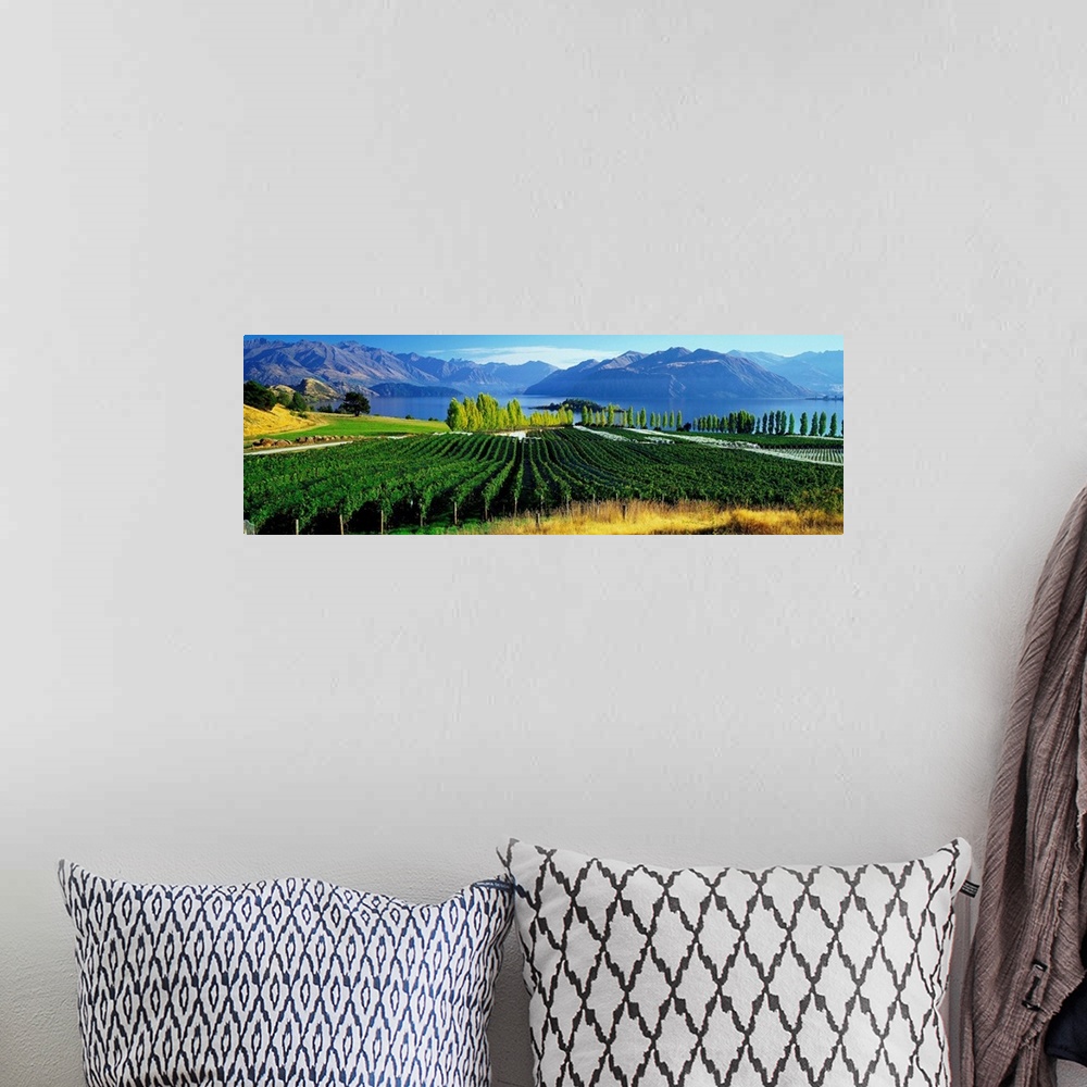 A bohemian room featuring New Zealand, South Island, Lake Wanaka, Rippon vineyards