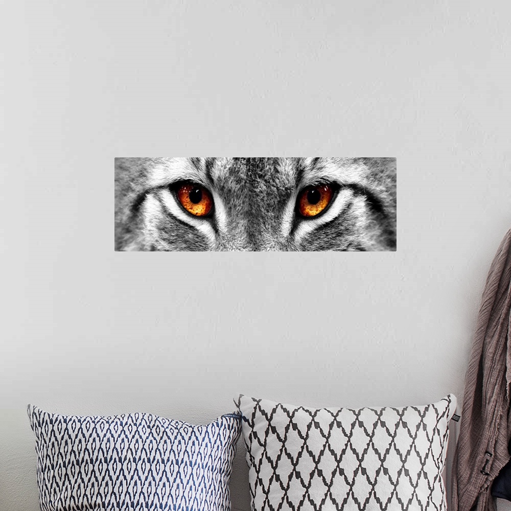 A bohemian room featuring Black and white close up image of the eyes of a lynx with the eyes colored brown.