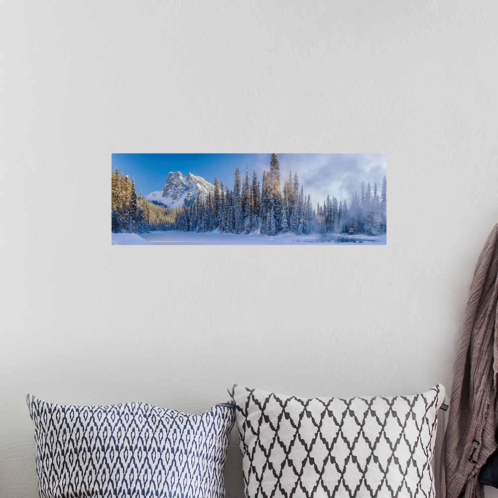 A bohemian room featuring Mt. Burgess And Snow-Covered Pine Trees, Yoho National Park, British Columbia, Canada