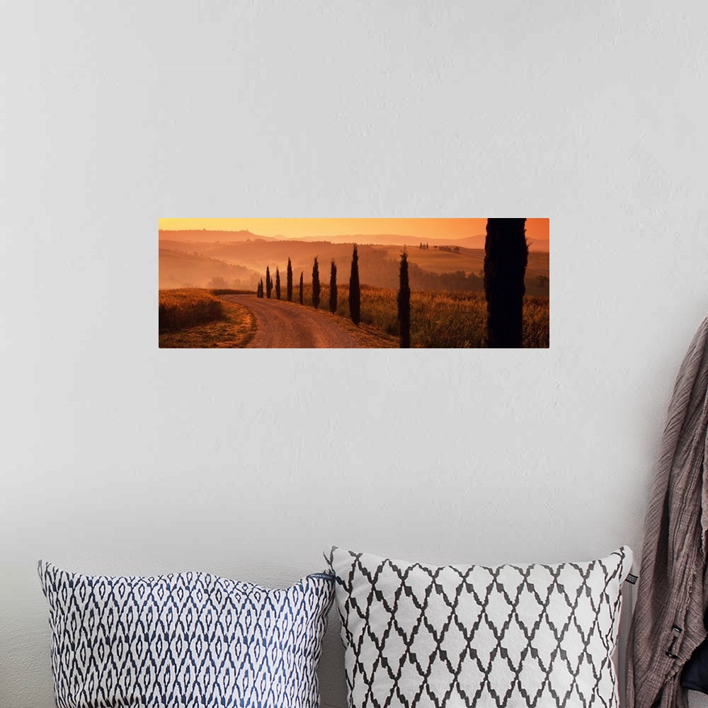 A bohemian room featuring Road And Cypress Trees, Val D' Orcia, Tuscany, Italy