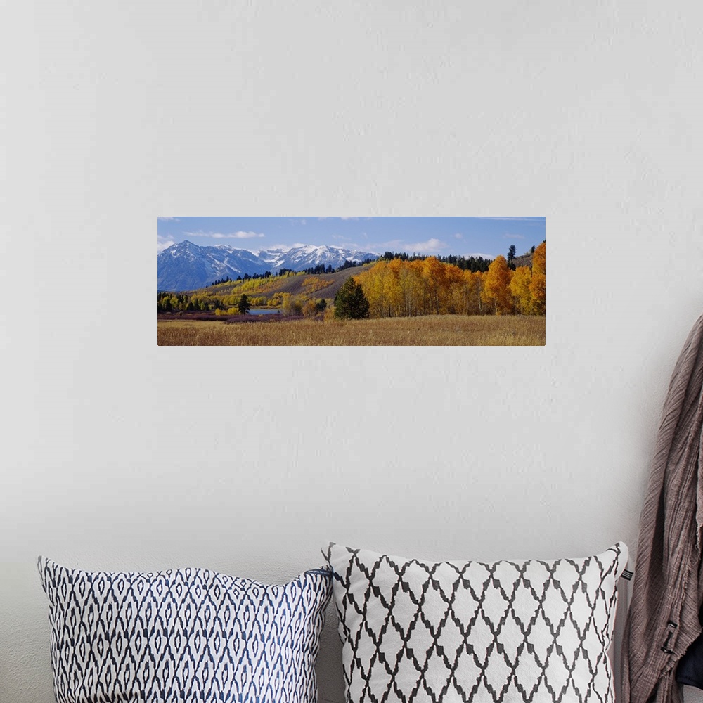 A bohemian room featuring Autumn Grand Teton National Park WY