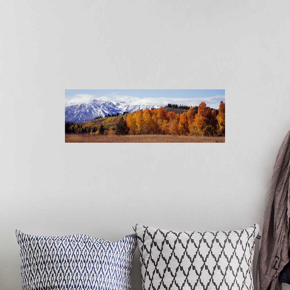 A bohemian room featuring Autumn Grand Teton National Park WY