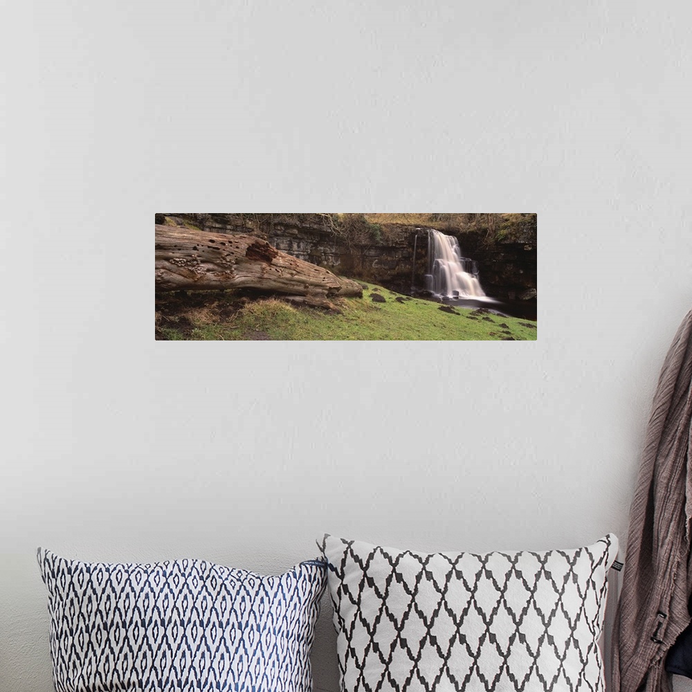 A bohemian room featuring Bare tree lying on grass, East gill falls, Ingleton, North Yorkshire, England