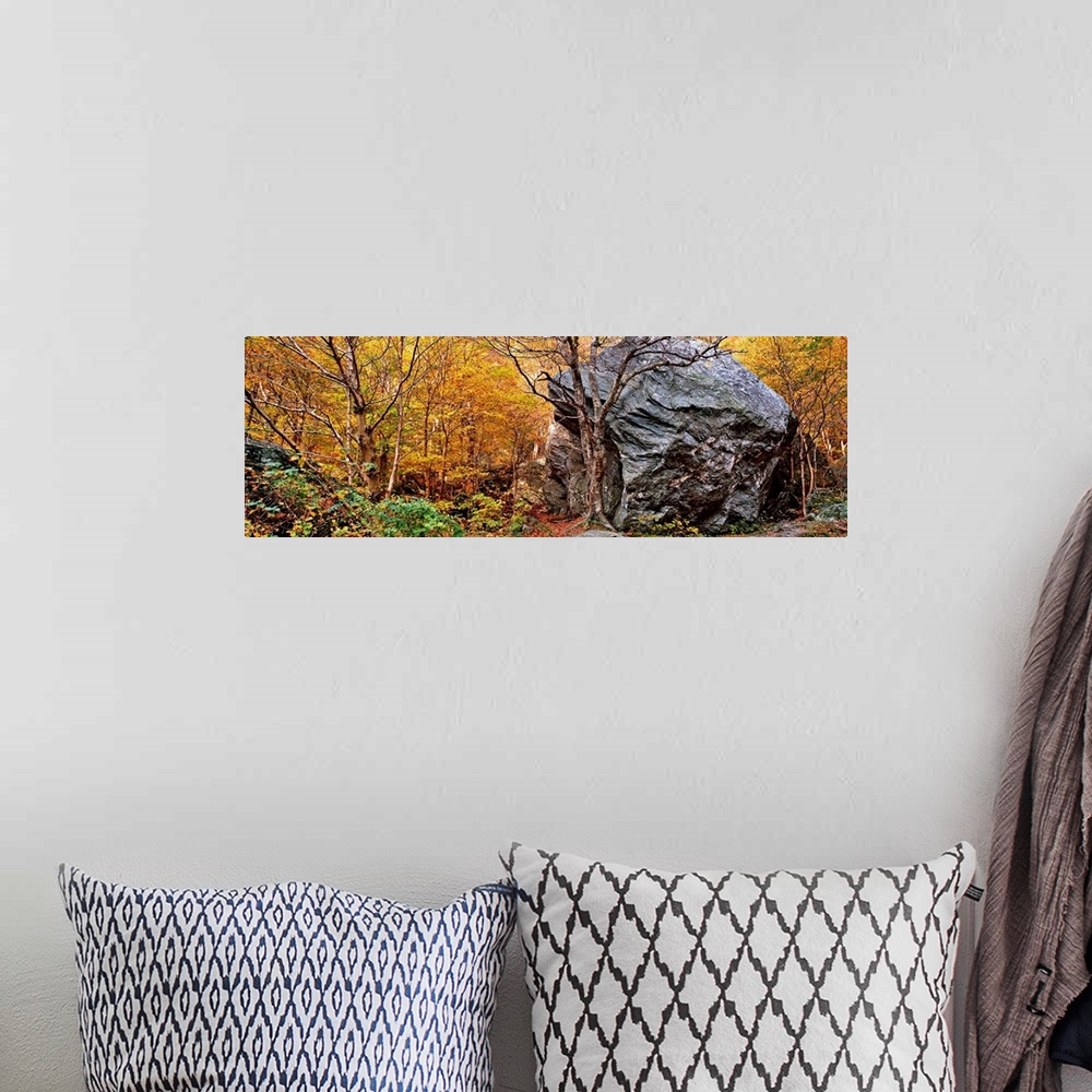 A bohemian room featuring Big boulder in a forest, Stowe, Lamoille County, Vermont