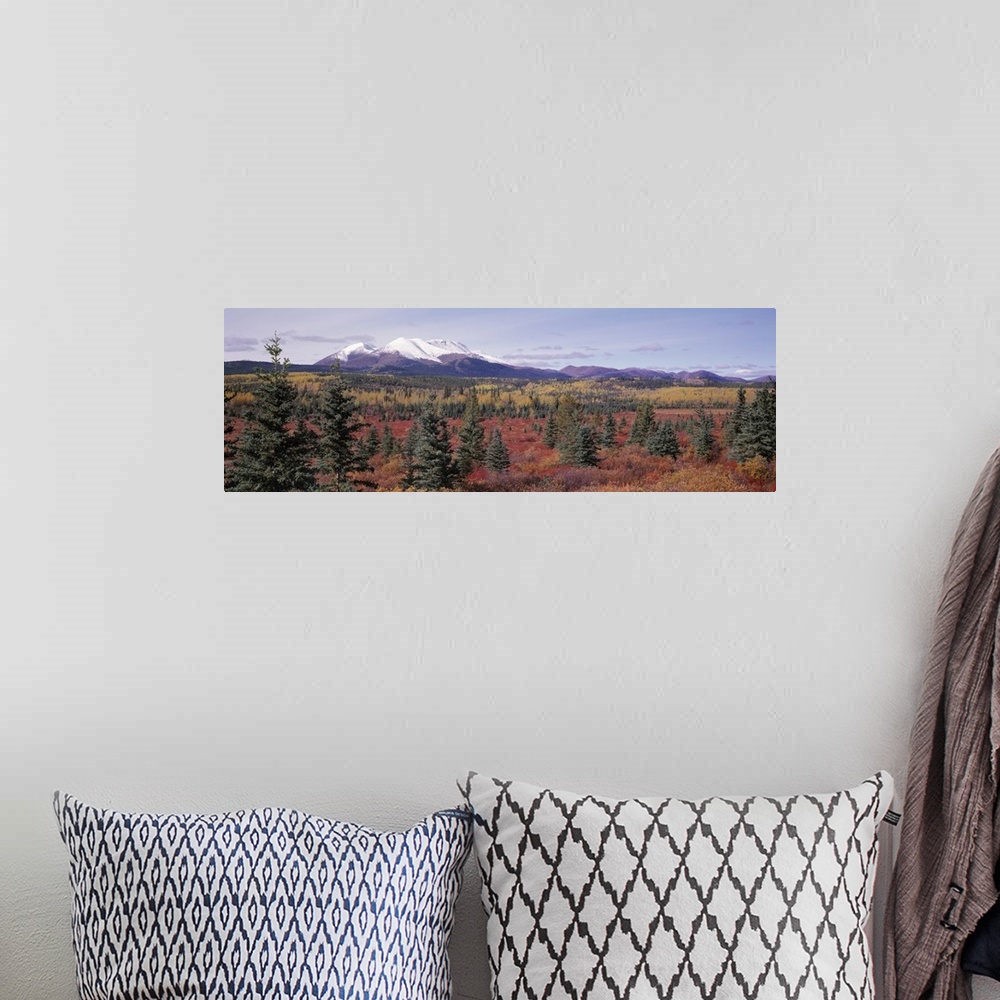 A bohemian room featuring Canada, Yukon Territory, View of pines trees in a valley