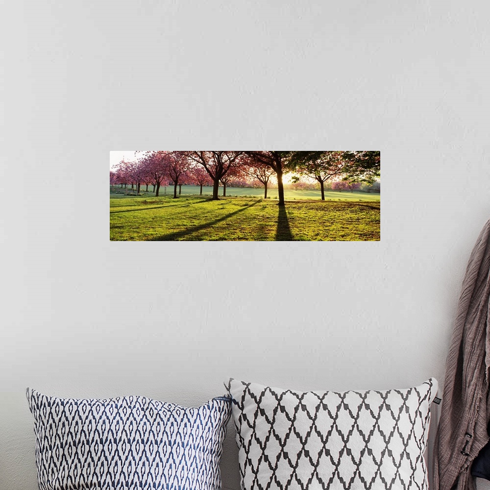 A bohemian room featuring Giant, landscape photograph of a line of cherry trees casting shadows on green grass, while the s...