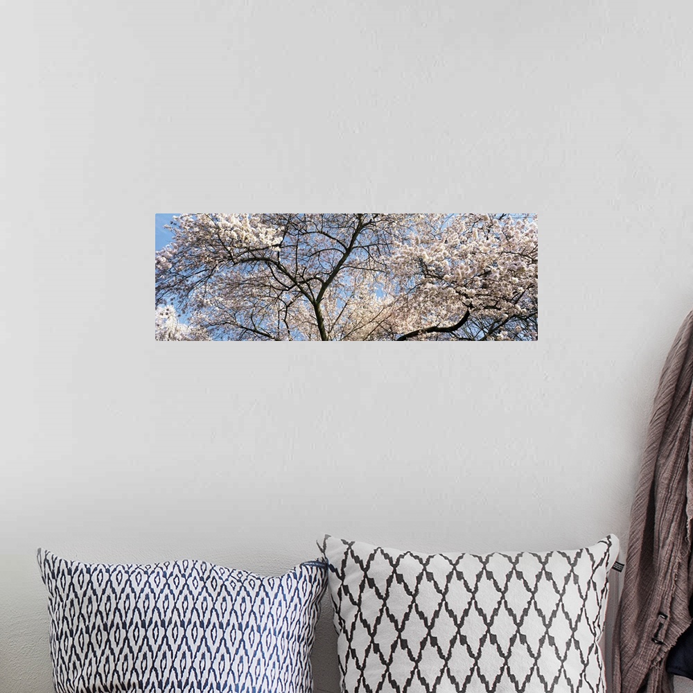 A bohemian room featuring Cherry Blossom Tree