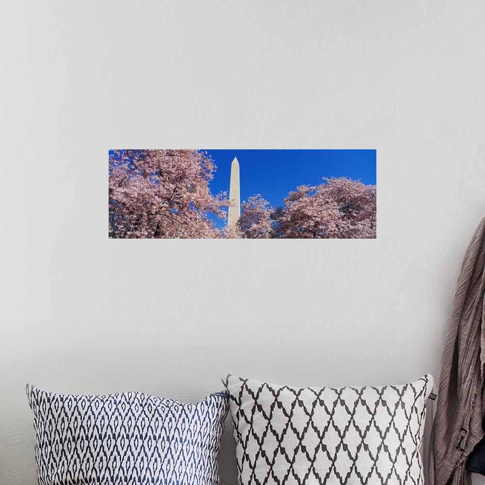 A bohemian room featuring Cherry Blossoms Washington Monument