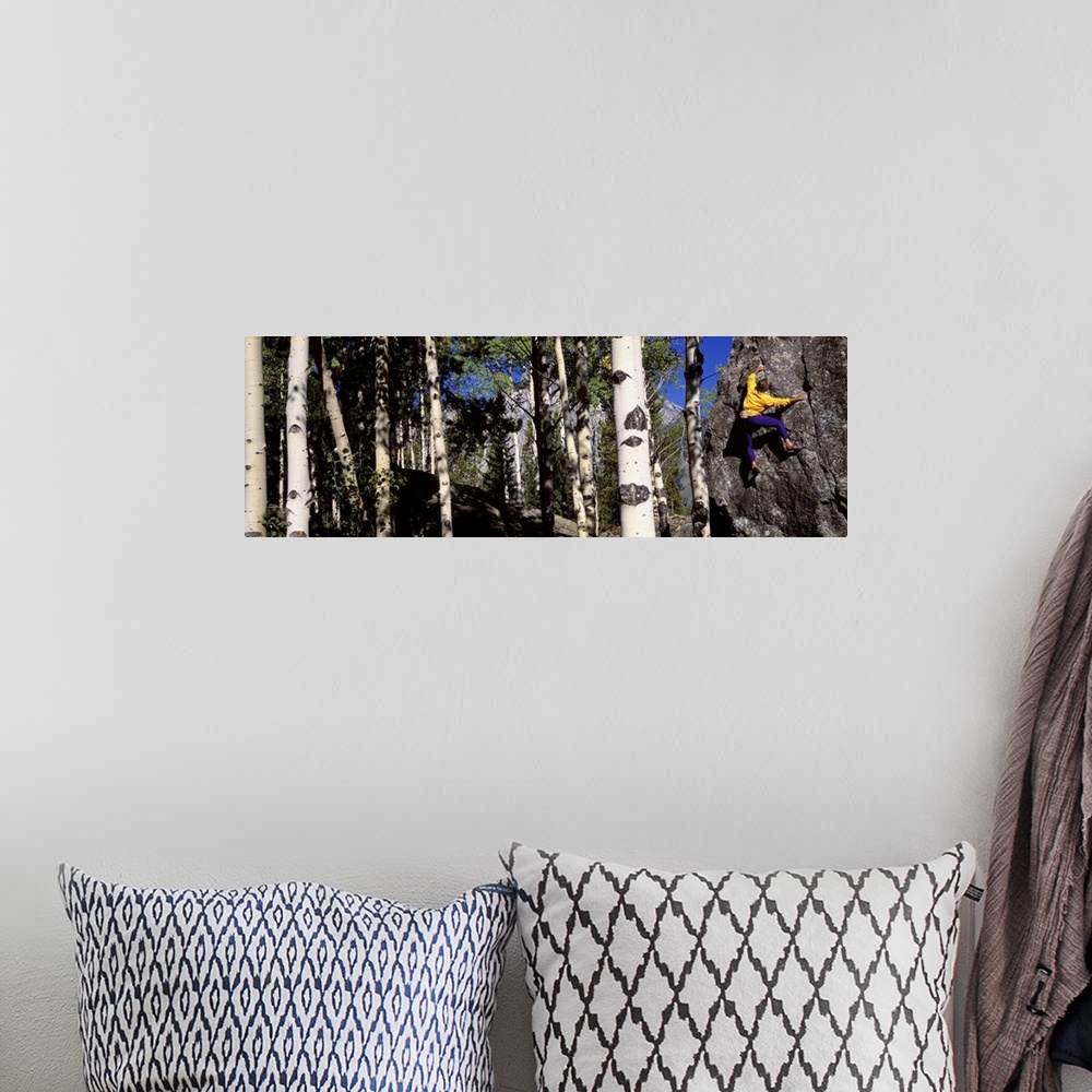 A bohemian room featuring Climber Aspens Grand Teton National Park WY