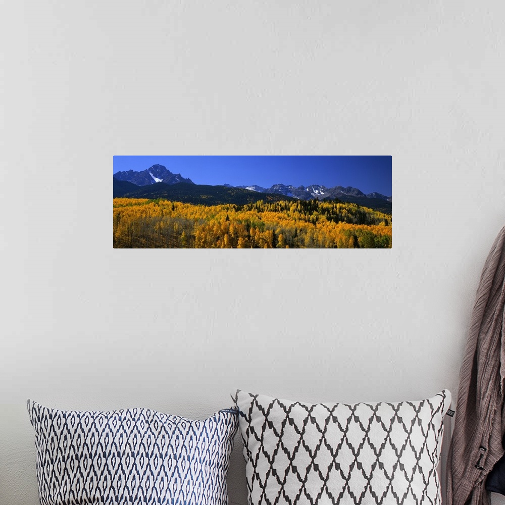 A bohemian room featuring Colorado, San Juan Mountains