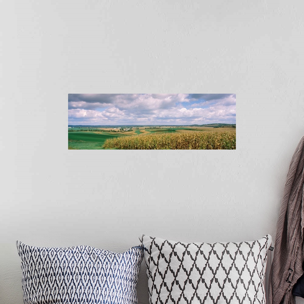 A bohemian room featuring Corn and alfalfa fields, Green County, Wisconsin, USA