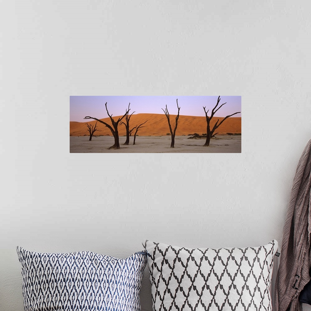 A bohemian room featuring Dead trees in a desert at sunrise Dead Vlei Sossusvlei Namib Naukluft National Park Namibia