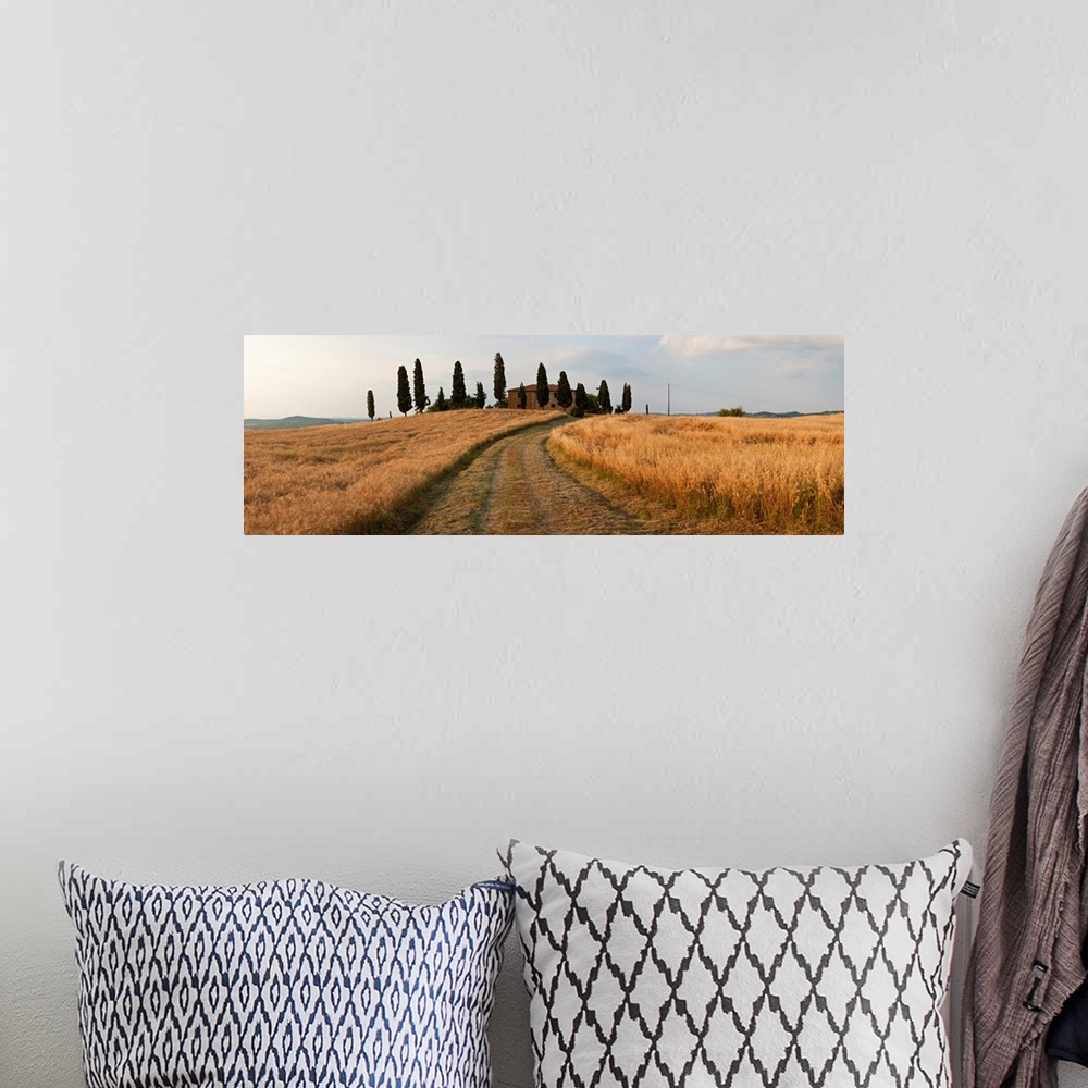A bohemian room featuring Dirt road passing through a field, Val d'Orcia, Tuscany, Italy