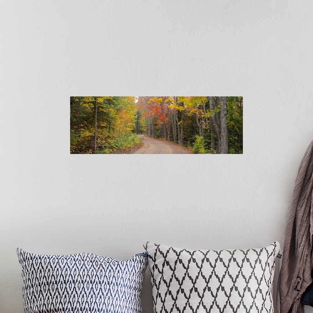 A bohemian room featuring Dirt road passing through autumn forest, Keweenaw Peninsula, Michigan,