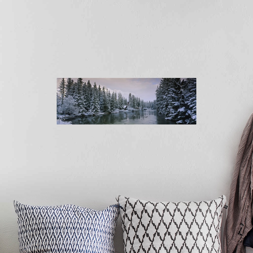 A bohemian room featuring Evergreen trees covered with snow, Policemans Creek, Canmore, Alberta, Canada