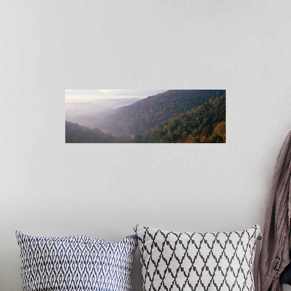 A bohemian room featuring Fall Foliage & Hillsides Allegany Co Early Morning  MD