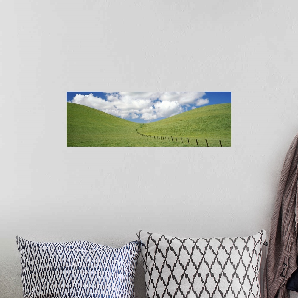 A bohemian room featuring Fence in a field, Livermore Valley AVA, Alameda County, California,