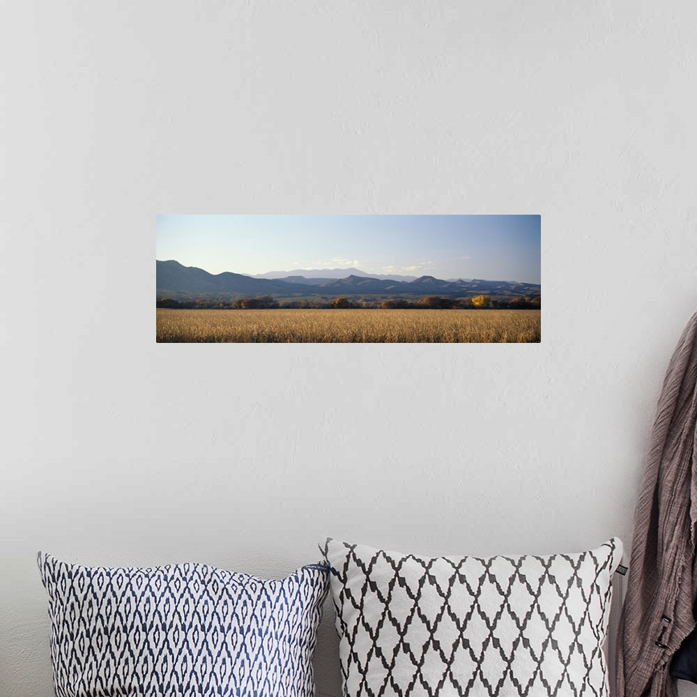 A bohemian room featuring A panoramic landscape of mountains and fields in New Mexico's wildlife refuge Bosque del Apache.